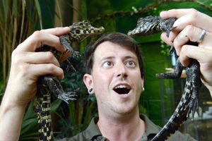 Supporting image for story: Baby crocodiles snap up the attention at Telford Exotic Zoo