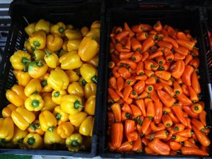 Supporting image for story: Experts identify food products which could be affected by no-deal Brexit