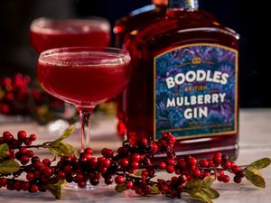 Supporting image for story: Top gins from the Midlands and further afield - tried and tested