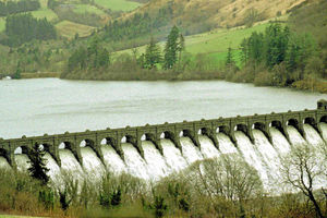 Supporting image for story: Scenic Vyrnwy Valley is on route of controversial power line