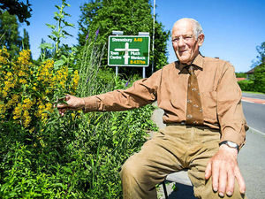 Supporting image for story: Road chiefs criticise pensioner who plants up verges in Church Stretton