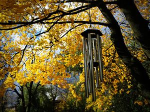 Supporting image for story: Peter Rhodes on budgets, red books and the scourge of irritating noises