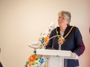 Supporting image for story: 'The abandonment of the working class is inexcusable!' Wolverhampton councillor quits Labour Party