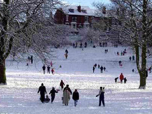 Supporting image for story: Council workers' cars clog up park spaces, says MP