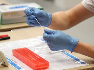 Supporting image for story: Free rapid Covid tests now available for all businesses in England