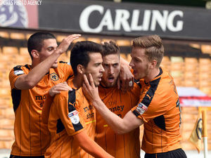 Supporting image for story: Wolves 2 Reading 0 - Report and pictures