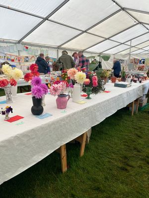 Some of the flower entries in the marquee