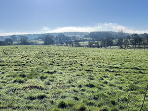 Supporting image for story: Picturesque land near Telford with 'endless possibilities' is listed for sale 