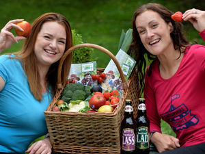 Supporting image for story: Telfood Feastival: Producers line up for food, drink and fun