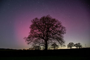 Supporting image for story: Can I see the northern lights tonight? What time spectacular display should be visible