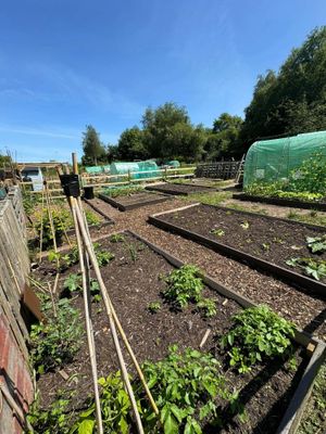 Allotment