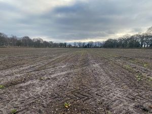 Supporting image for story: More than 11 acres of arable land near Market Drayton listed for sale