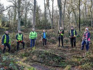 Supporting image for story: Tree planting scheme planned for Wolverhampton