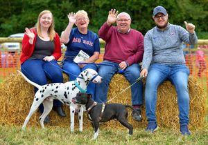 Supporting image for story