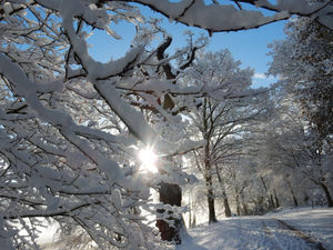 Supporting image for story: Phil Gillam: Three of my Great Things To Do At Christmas