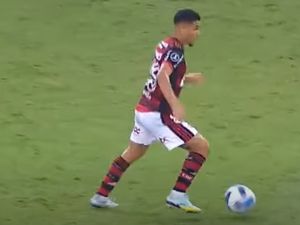 Supporting image for story: Joao Gomes set to arrive in UK on Monday to complete Wolves move