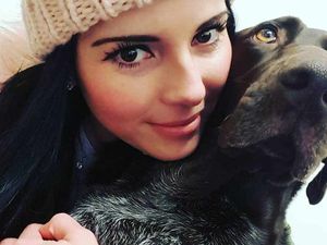 Supporting image for story: Warning to pet owners as woman convinced family dog ate poison while out on walk