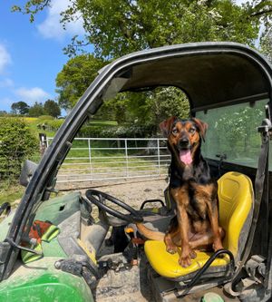 Jennie Powell took this image of rural life
