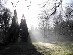 Supporting image for story: New Telford nature reserves safe from builders