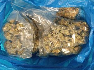 Supporting image for story: Four arrested on drugs charges after police stop car