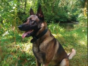 Supporting image for story