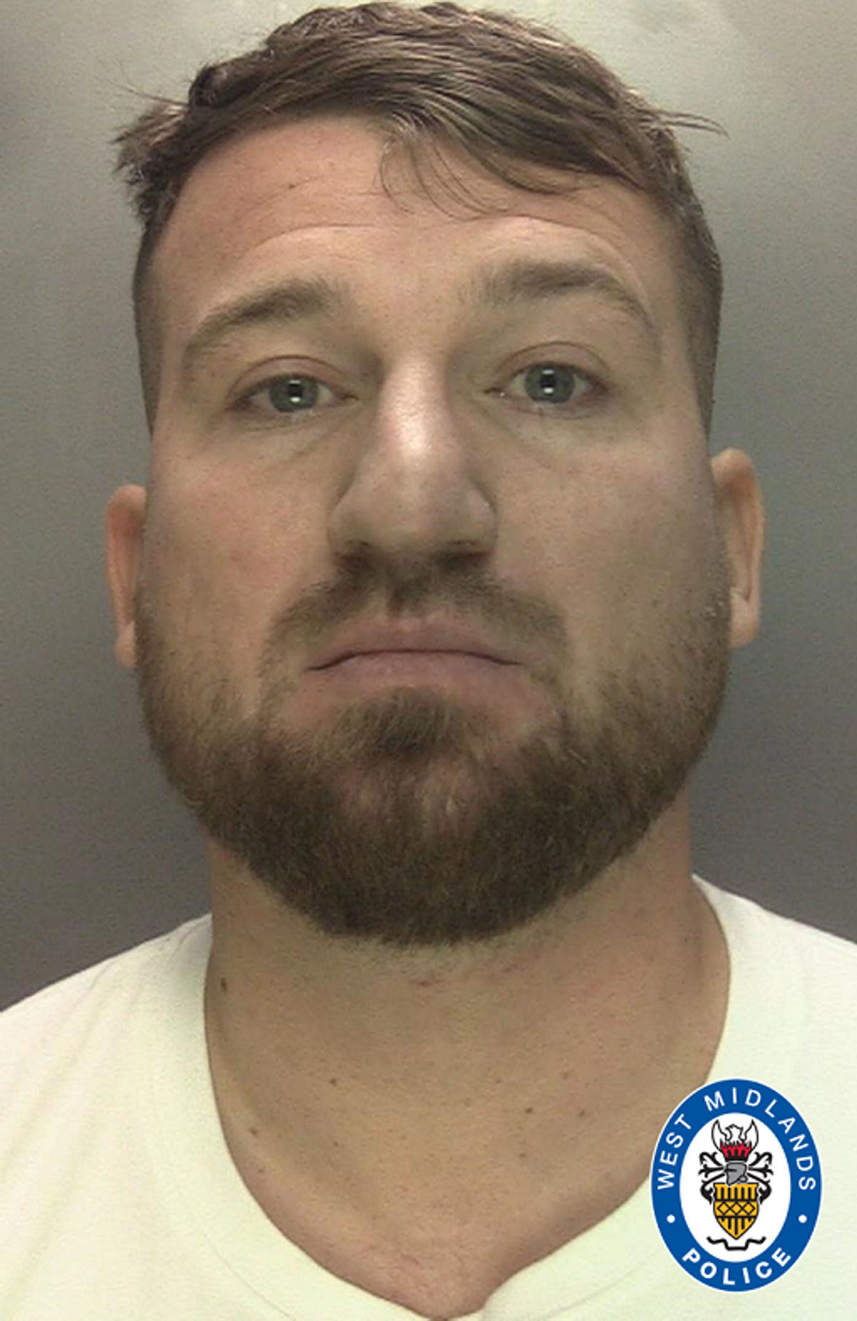 Walsall football thug admits assaulting police officer during Villa Park disorder described as worst football violence in decades