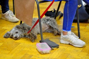 Preparing to deliver an award-winning performance is sure to be tiring work