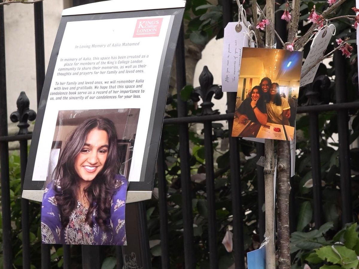 Van driver pleads guilty to killing university student in central London crash
