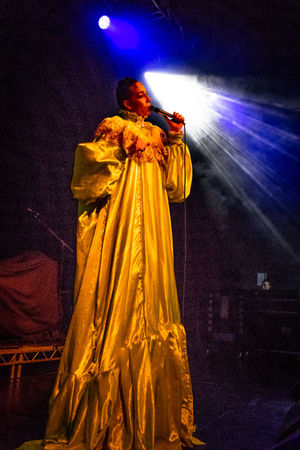 The Cardigans. Pictures by: Dave Cox