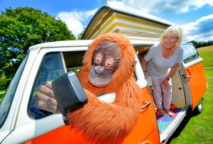 W Camper type 2 from the 1970's and Pat Caddick rides with Brian up front. from Minsterley