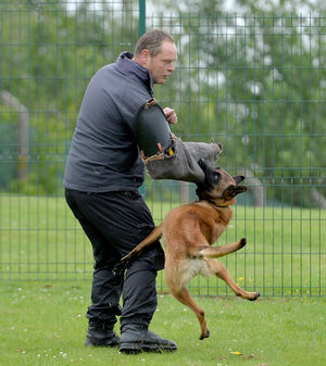  PC Steve Thomas with PD Kevin during at training exercise