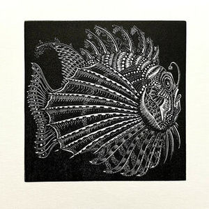 Richard Studer is exhibiting his collection of wood engravings, Linocuts and Collographs in Presteigne