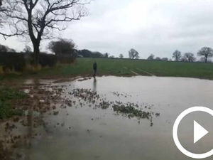 Supporting image for story: Video update: Heavy rains flood Shropshire fields