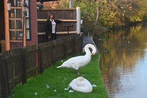 Linda Jefferson is asking authorities to take 'urgent action' to protect homes  - including her parents' - from flooding on the scale of the recent Llangollen canal incident