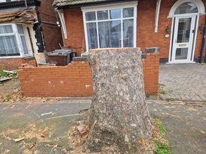 What is left of the tree in front of the two properties