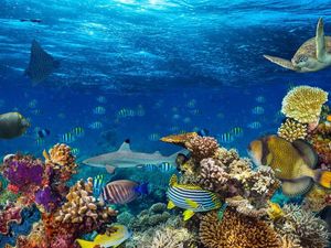Supporting image for story: 11 things we learned from Fabien Cousteau – who lived under water for 31 days