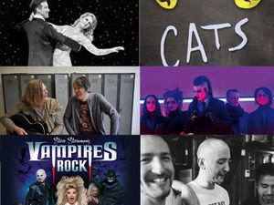 Supporting image for story: Wolverhampton Literature Festival, Anton and Erin, Cats, Motionless In White and more: What's on this weekend in the Midlands and Shropshire