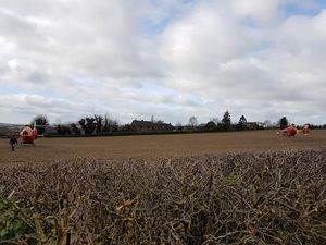 Supporting image for story: Man dies after car overturns