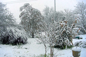 Winter returned to south Shropshire