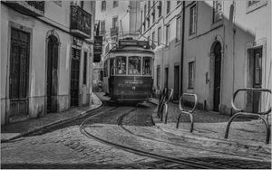  Stephen Haycock – Tram 11