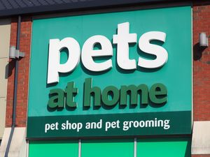 Supporting image for story: Pets at Home sales soar after pandemic pet ownership boom