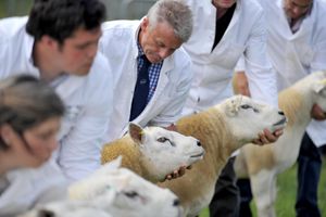 Posing for the judges at Newport Show