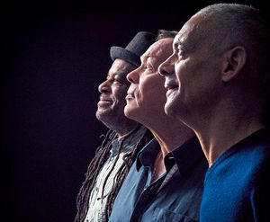 One in three – Ali (centre) is back on the road with Astro and Mickey