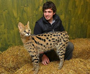  Will Dorrell with the cats at Hoo Farm 