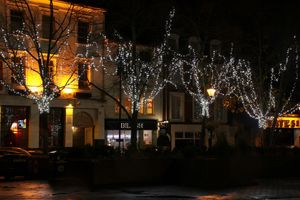 The Cheapside tree lights