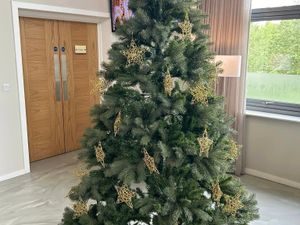 Supporting image for story: Where to recycle your Christmas tree in Shropshire now that the festive season is over
