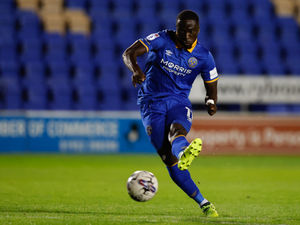 Supporting image for story: Dan Udoh confident Shrewsbury Town will come good
