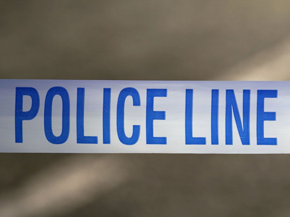 Woman arrested after man, 88, found dead at address