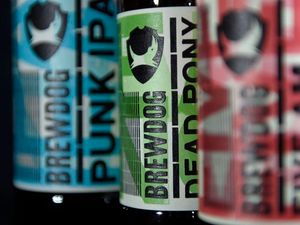 Supporting image for story