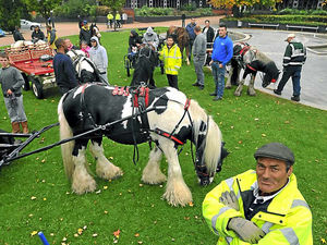 Supporting image for story: Horse owners in new protest